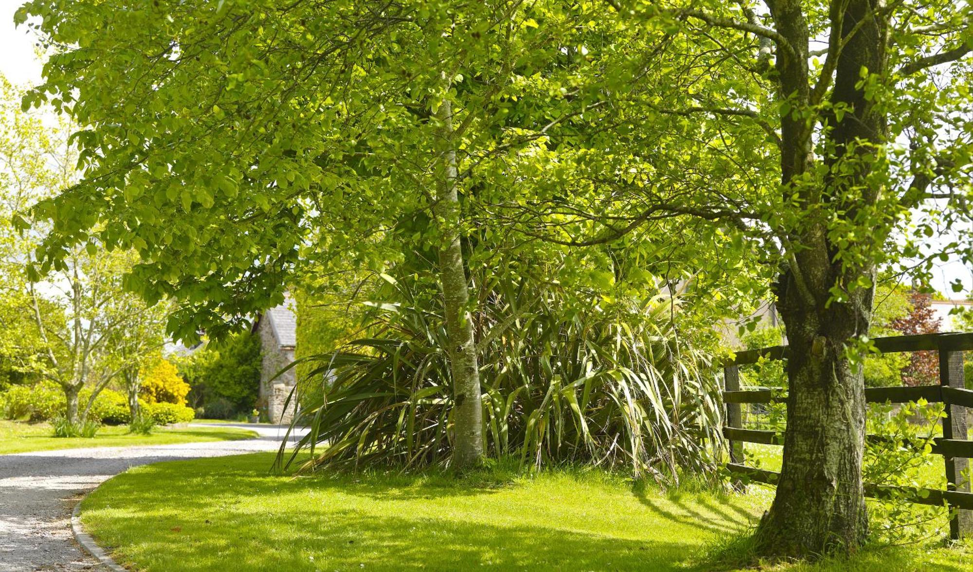 Courtyard Cottages Tralee Pokój zdjęcie