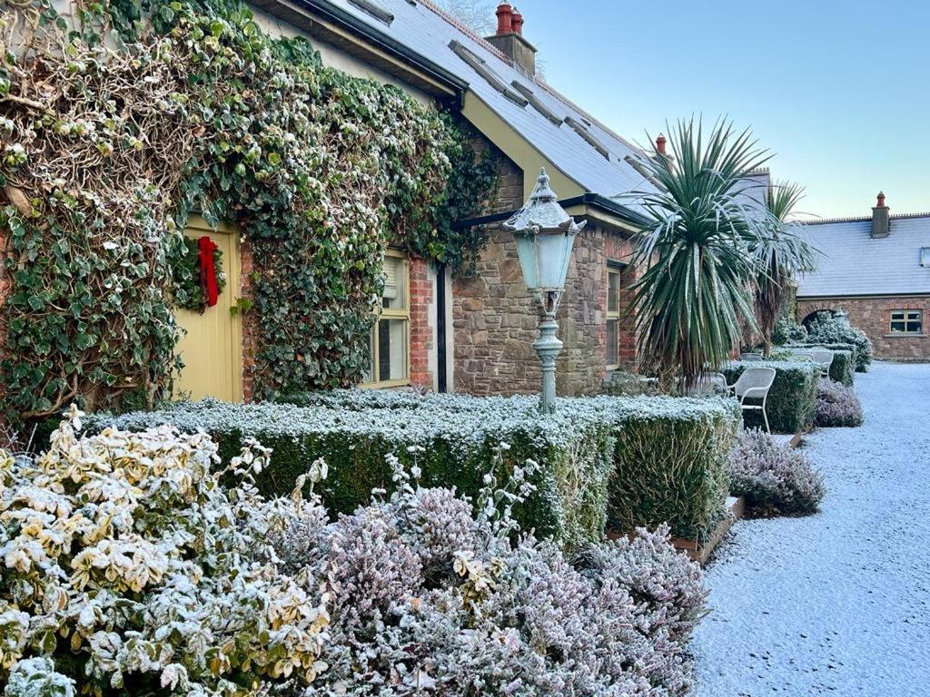 Courtyard Cottages Tralee Zewnętrze zdjęcie